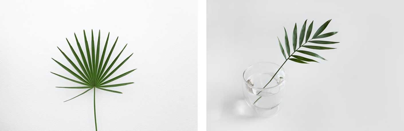 This image has an empty alt attribute; its file name is banner-blog.jpg